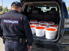 полиция красная икра