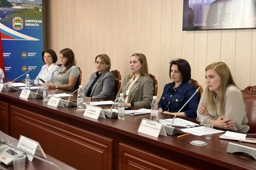 общественный совет при министерстве экономического развития Амурской области