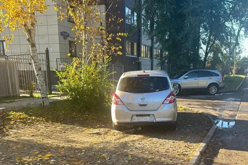 автохамы парковка на газонах