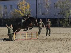 иппотерапия
