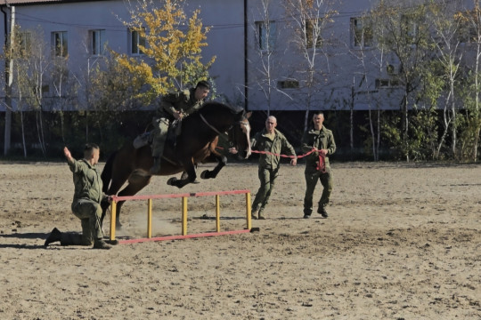 иппотерапия