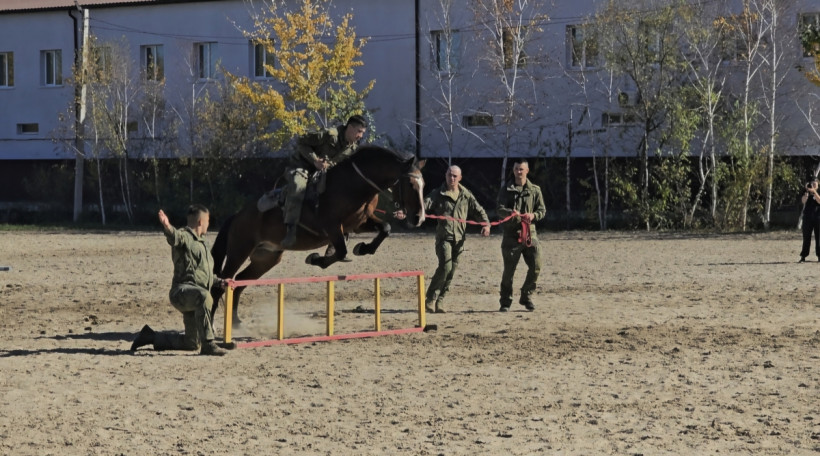 иппотерапия