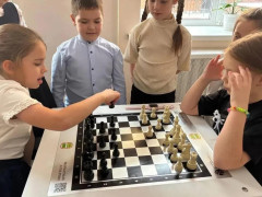 дети школьники шахматы продленка группы продленного дня
