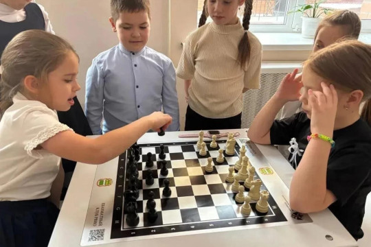 дети школьники шахматы продленка группы продленного дня