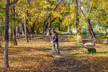 Осенние будни в сквере в Благовещенске