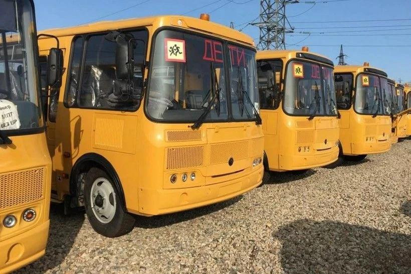 школьные автобусы