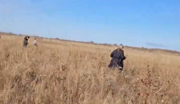 «Мы не имеем права отступить»: пошли шестые сутки поиска  в Архаре 70-летней пенсионерки