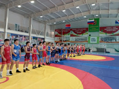 вольная борьба единоборства