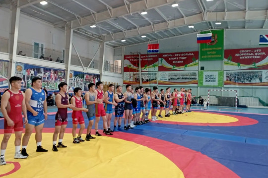 вольная борьба единоборства