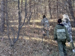 поисковики волонтеры поиск пропавших