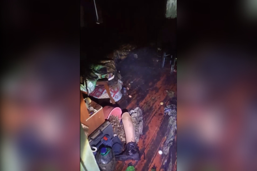 ПОЖАР ДМИТРИЕВКА