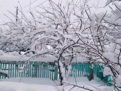 октябрьский снег снег первый снег