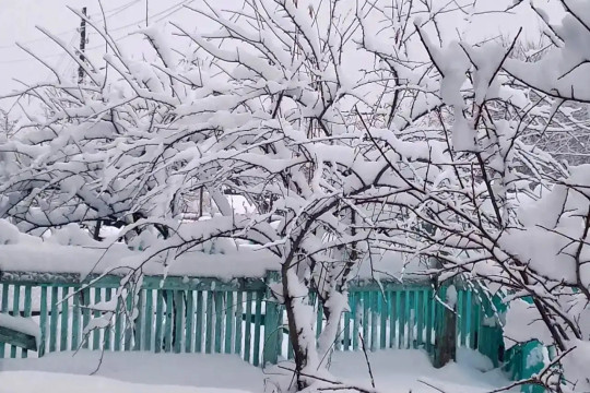 октябрьский снег снег первый снег