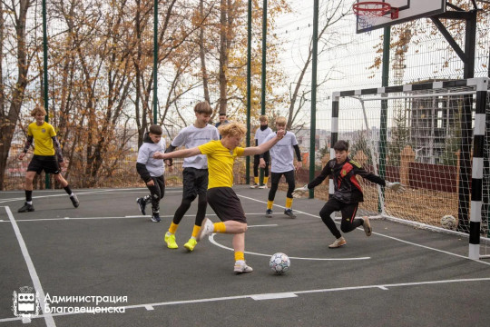 спортивная площадка спортплощадки плодопитомник