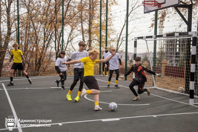 спортивная площадка спортплощадки плодопитомник