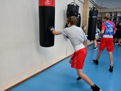 спортивная школа олимпийского резерва сшор госпрограмма спорт россии спортивный инвентарь бокс единоборства