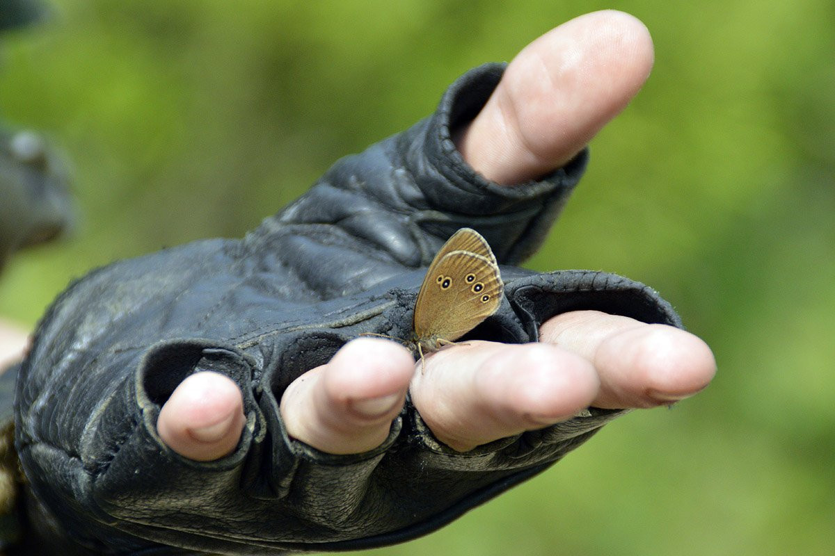 Дети перешли в наступление. Фоторепортаж