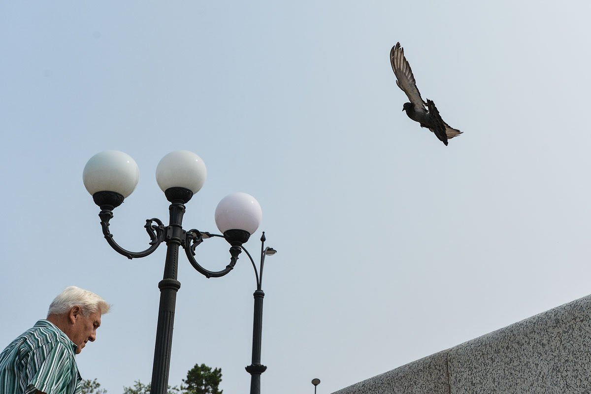Макеты «Маленькой Венеции» и «Золотой мили» показали на туристическом форуме. Фоторепортаж.