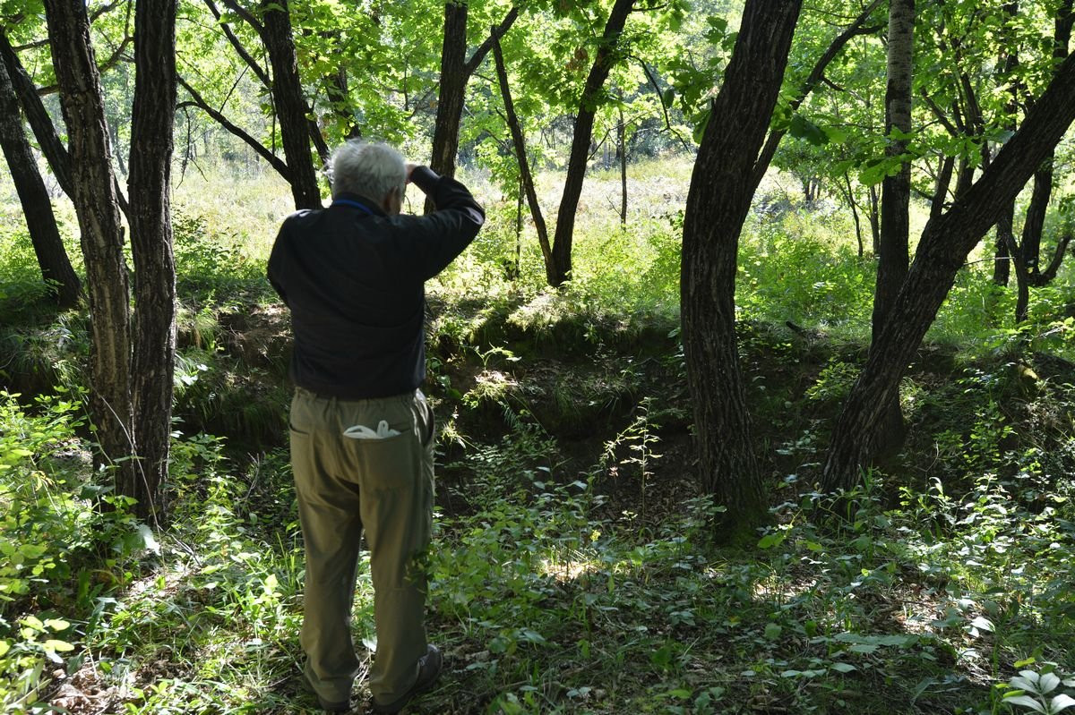 Потомки японских военнопленных посетили захоронения в Приамурье