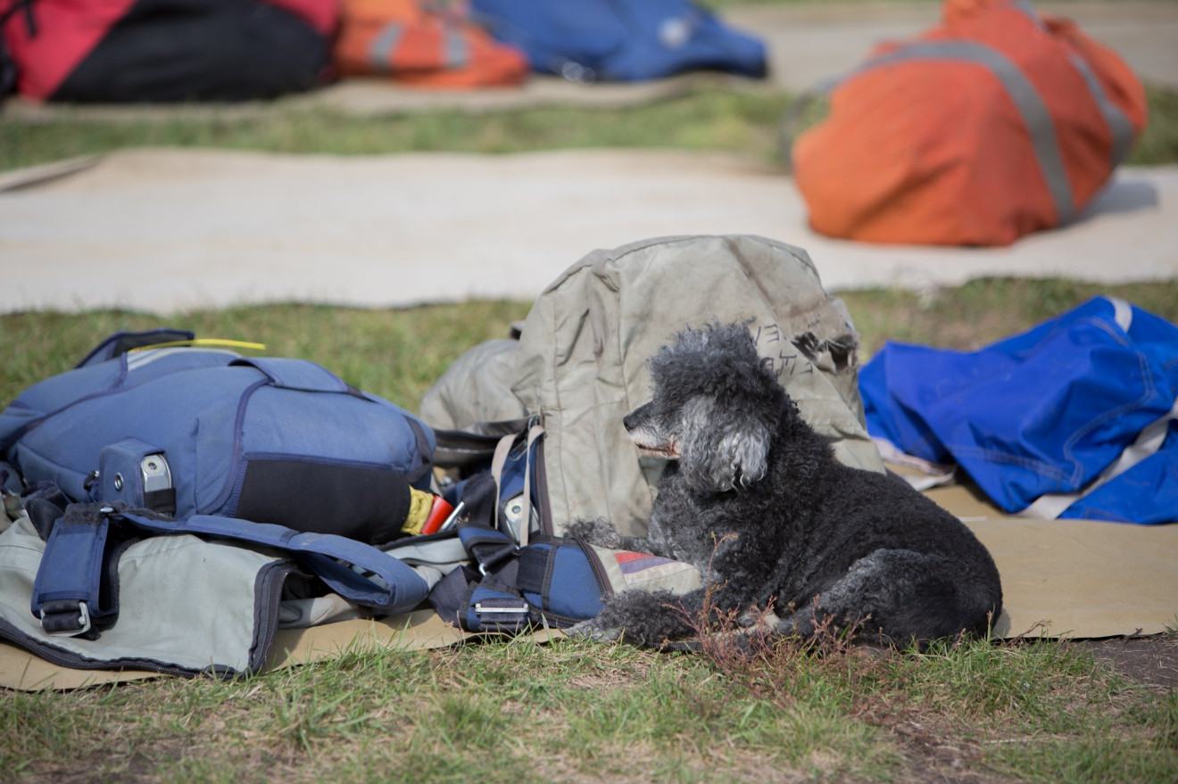 Парашютисты-дальневосточники выделывали в амурском небе акробатические трюки