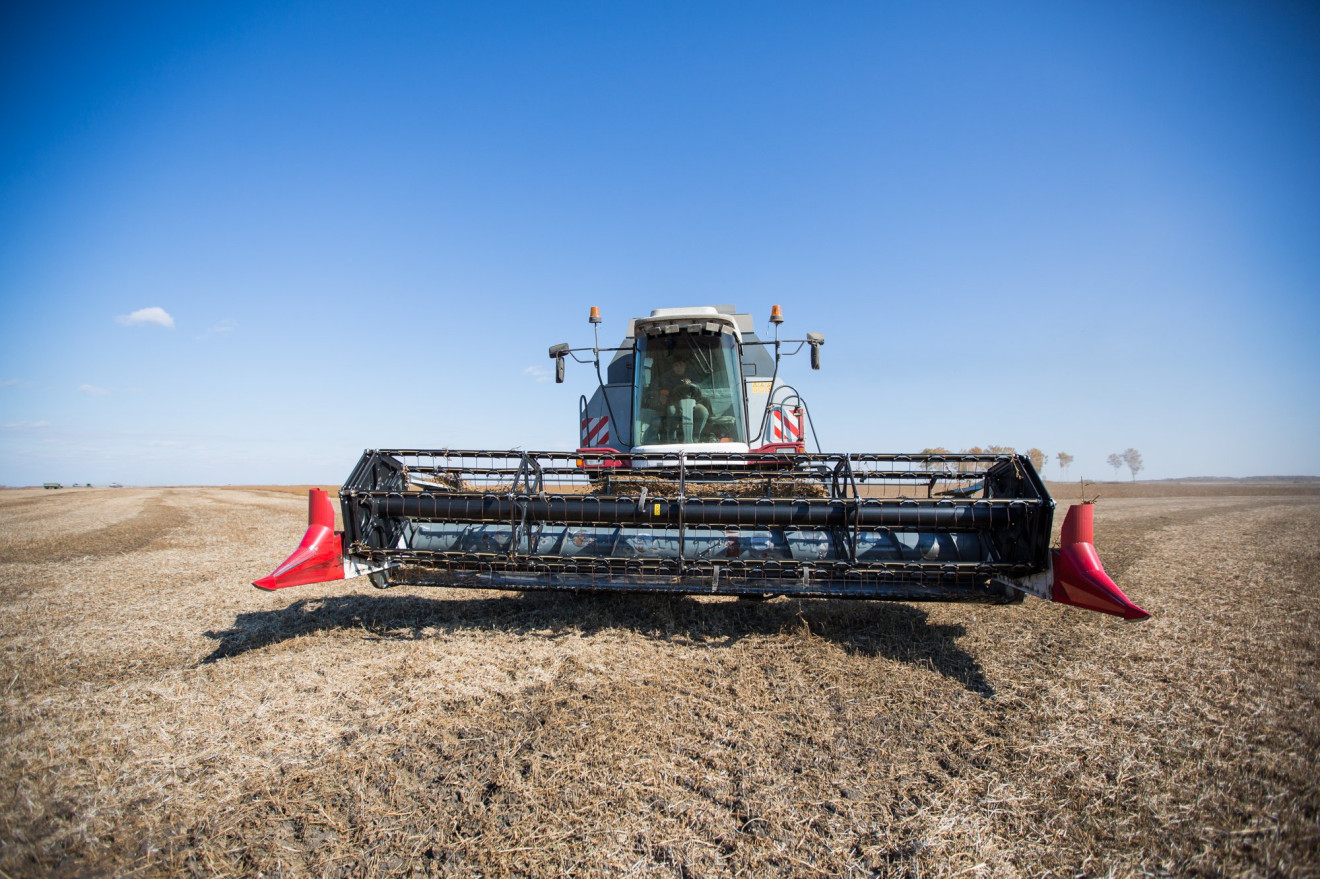 Амурские аграрии собрали 210 тысяч тонн сои