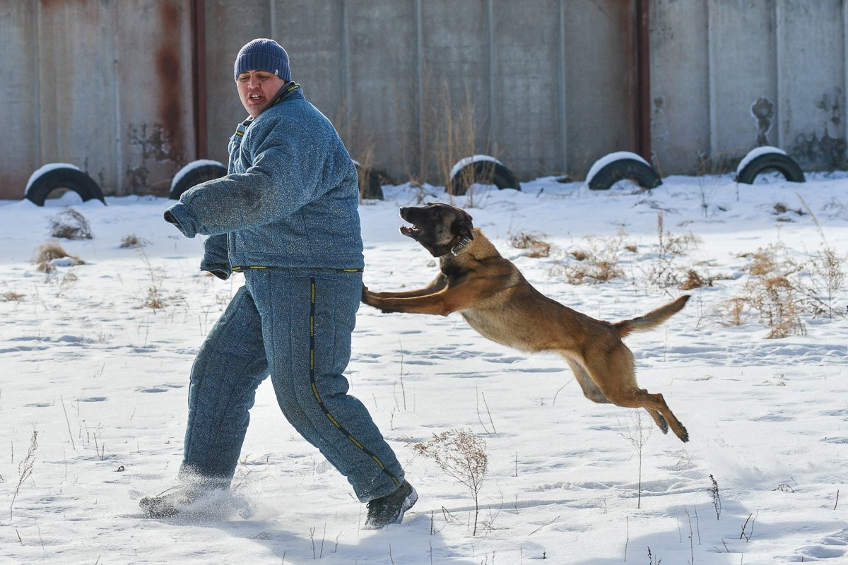 Полицейские раскрыли благовещенским школьникам и кадетам секреты профессии. Фоторепортаж