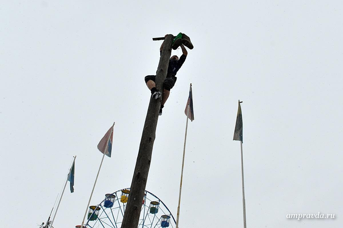 В поросячьих бегах победила свинья Негр (фото и видео)