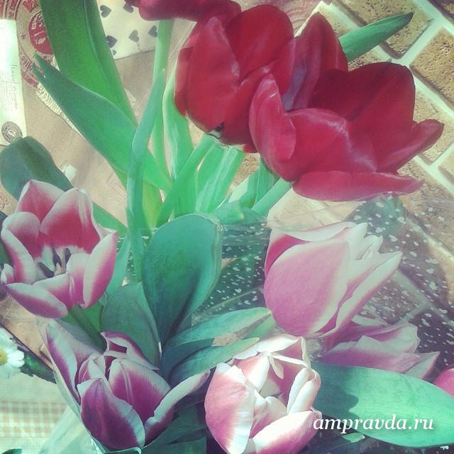 В Instagram — цветочный бум