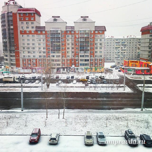 Инстаобзор АП: автохамы, дерзкие коты, снежный апрель и деньги для Обамы