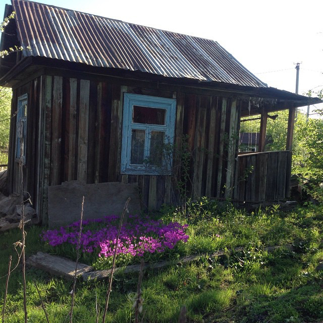 Инстаобзор АП: розовое солнце, сердце в облаках и неизвестная птица