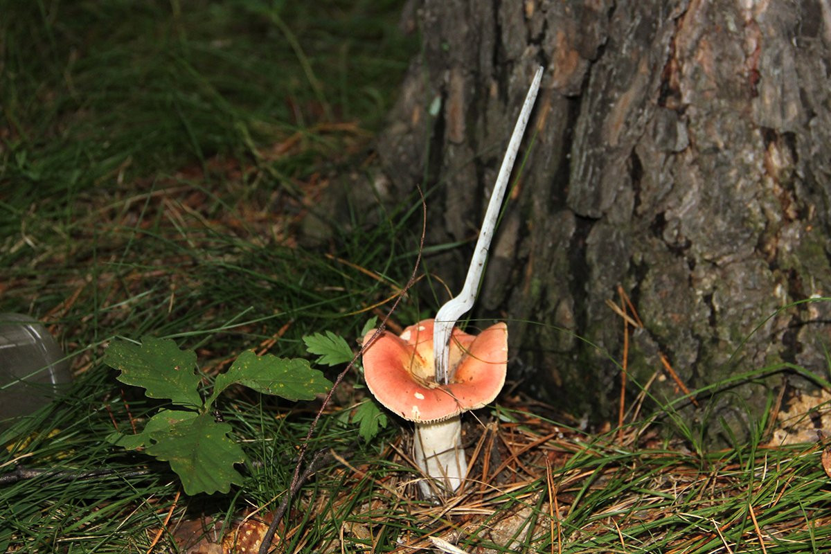 Пикник на грязной обочине