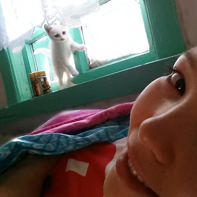 Инстаобзор АП: душ из экскаватора, любовь под зонтом и сила Путина