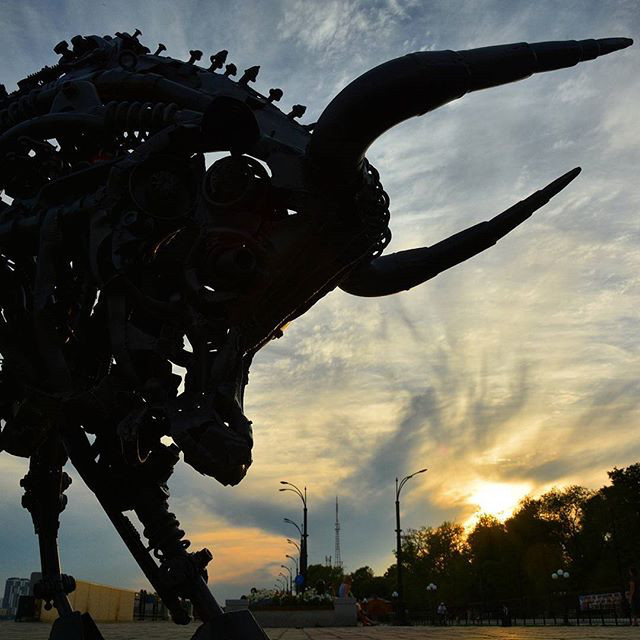 Инстаобзор АП: наглый лис, крутые тачки и молитва от дыма