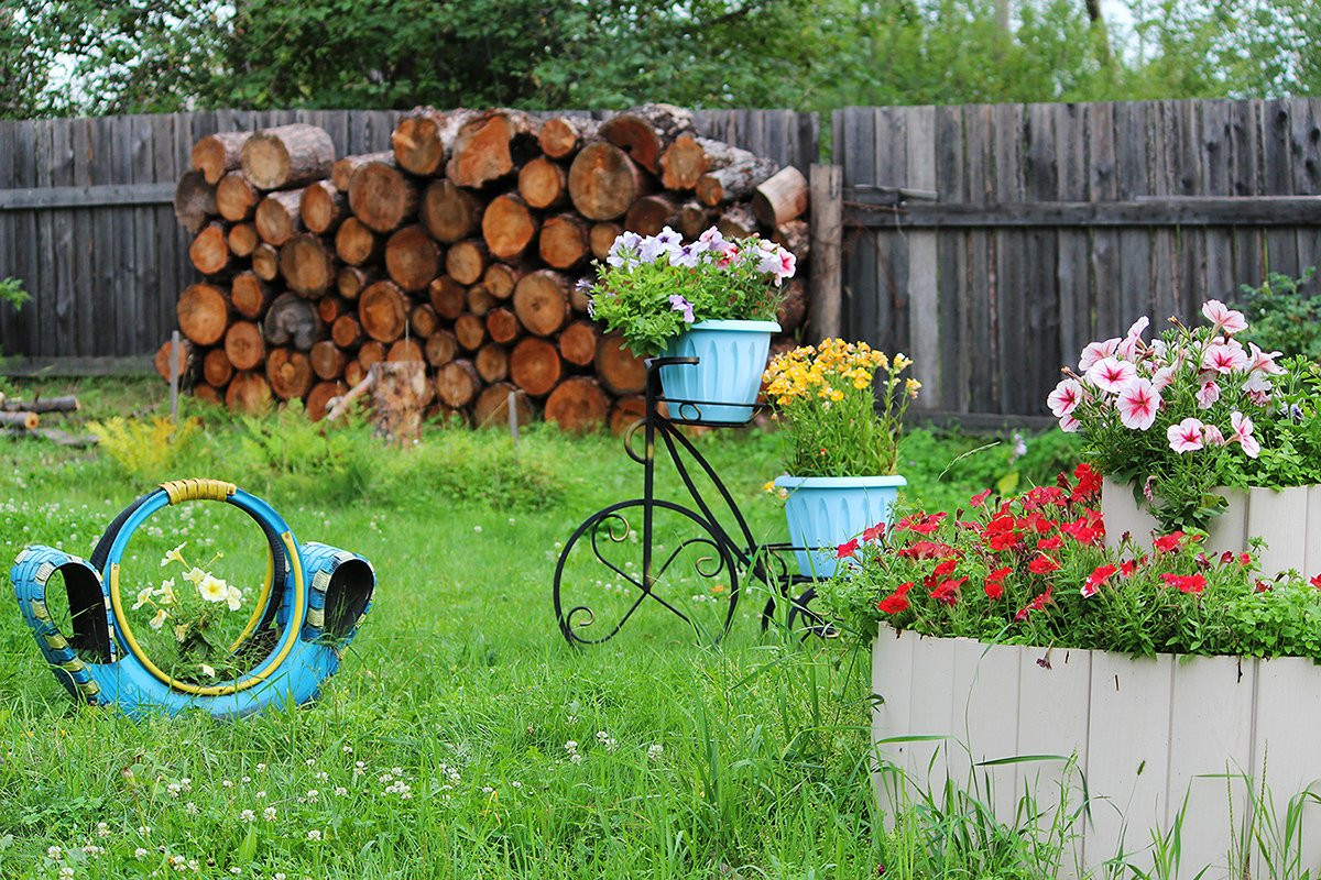 Фавориты фотолета — георгины, пионы и лилии