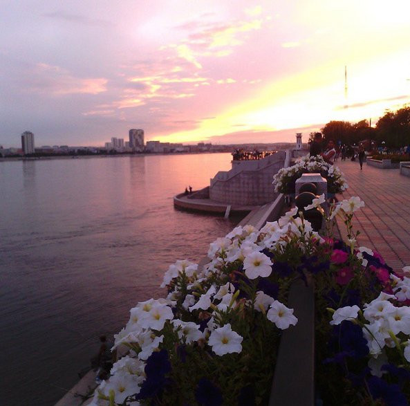 Инстаобзор АП: лежбище собак, мастера парковки и первые признаки осени