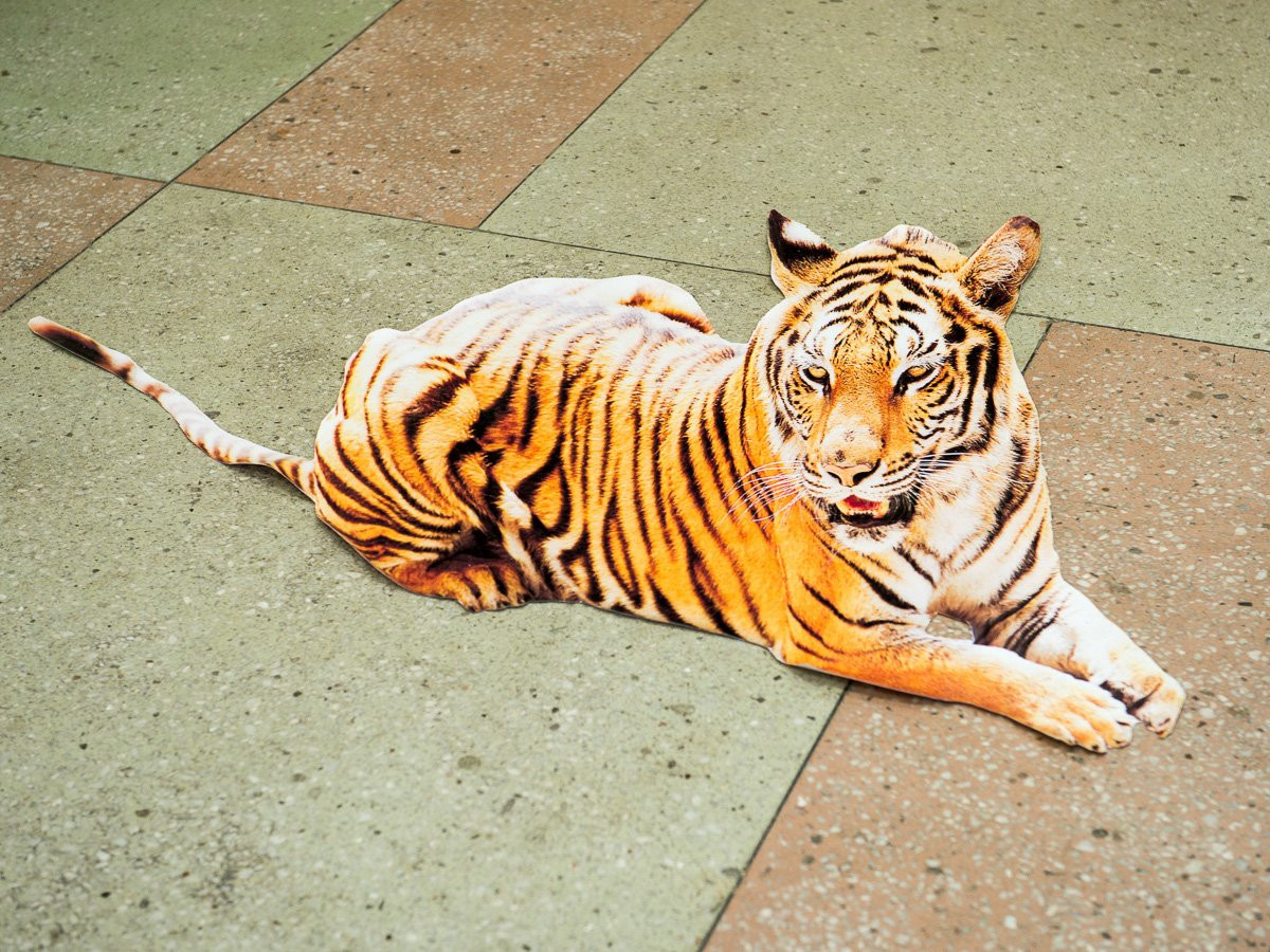 Присядьте на гвозди: в Благовещенске открылся музей занимательной науки