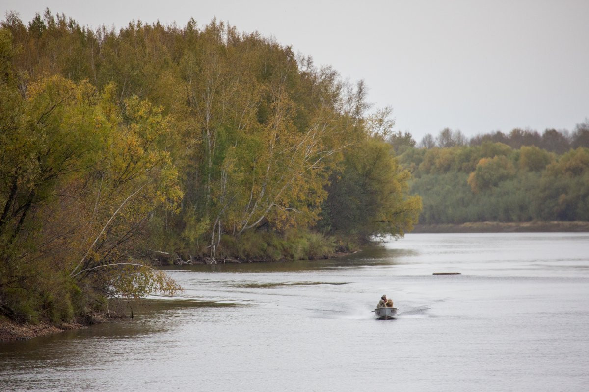 Косули пустились вплавь: фоторепортаж из самого северного района Приамурья