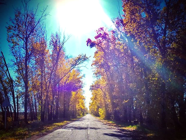 Инстаобзор АП: золотая осень в социальных сетях