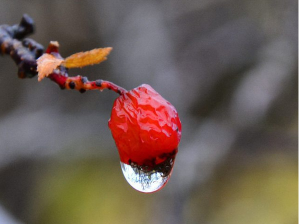 Инстаобзор АП: женщина в окне, Стас Михайлов и невозмутимые коты