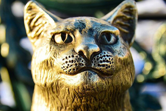 Инстаобзор АП: квас из-под крана, медведи в городе и всевидящее око студента-медика