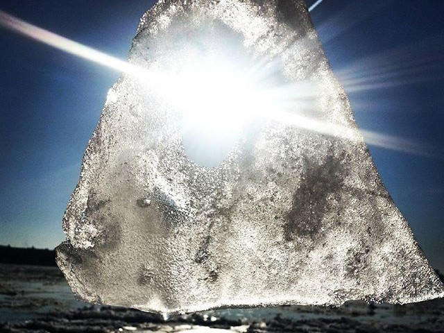 Инстаобзор АП: коты на тыквах, странное печенье и весна в Благовещенске