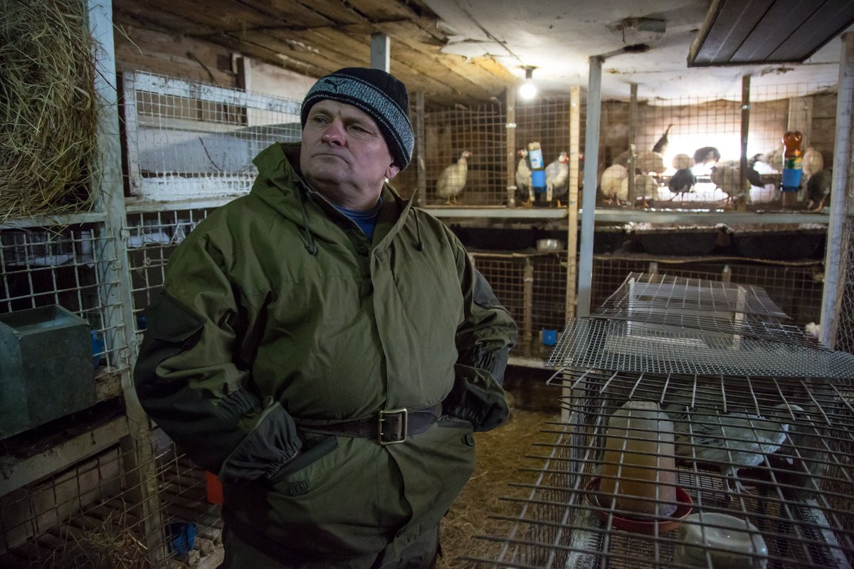 Бывший компьютерщик открыл на севере Приамурья индюшачью ферму