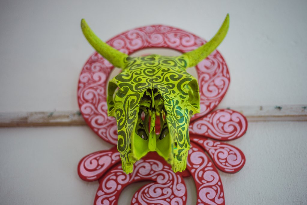 Черепа животных и тела насекомых: в Благовещенске открылась необычная выставка молодого автора