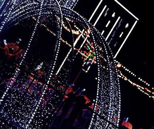 Инстаобзор АП: ёлки, ночной Благовещенск, новогодние собаки и столы