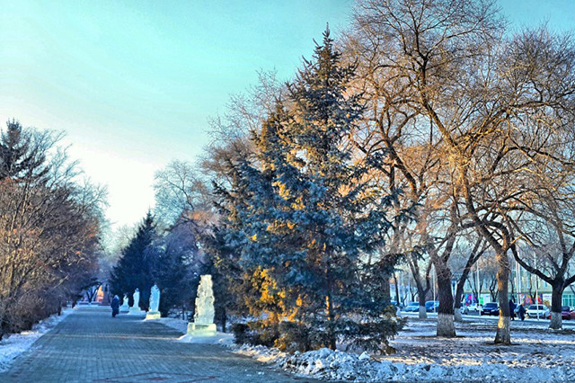 Инстаобзор АП: зимние пейзажи, зайцы, коты, белки и уходящий Дед Мороз