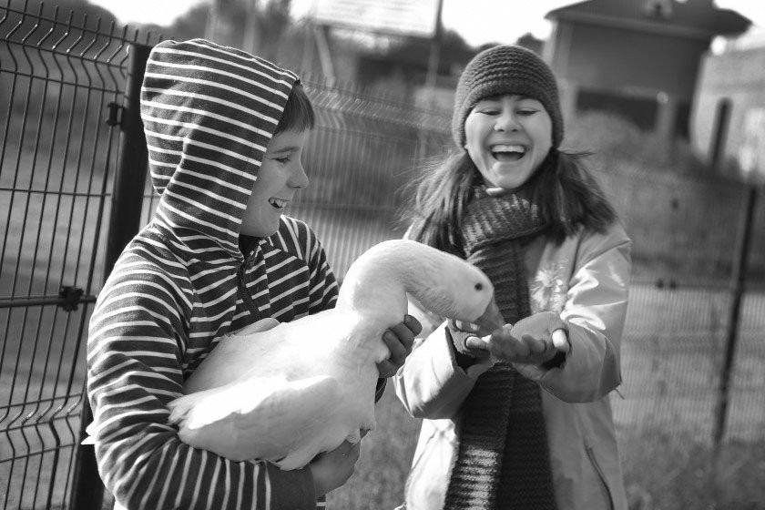 Собаки против котиков: читатели АП делятся фото любимых питомцев