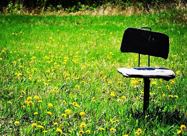 Инстаобзор АП: Благовещенск с высоты птичьего полета, стрит-арт на Тайване и темнокожие пушкинисты