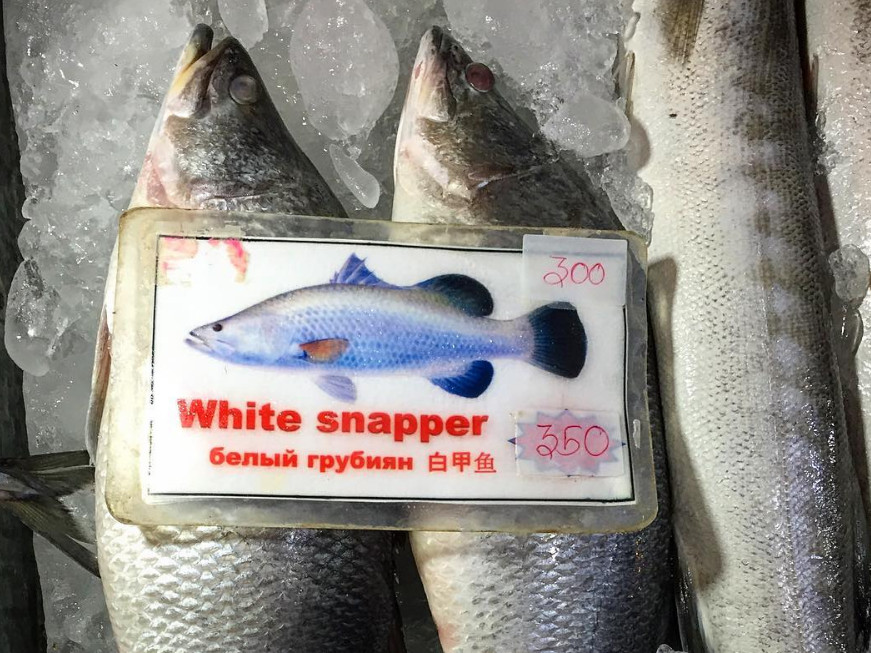 Инстаобзор АП: кража песка, рыбы-грубияны и новое чудо-приложение Prisma